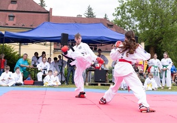 Zamecek 2024 f Adela Vosickova 071