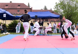 Zamecek 2024 f Adela Vosickova 082